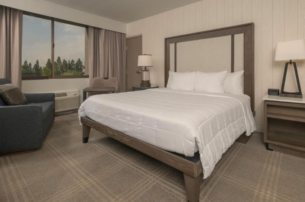 Room image 5